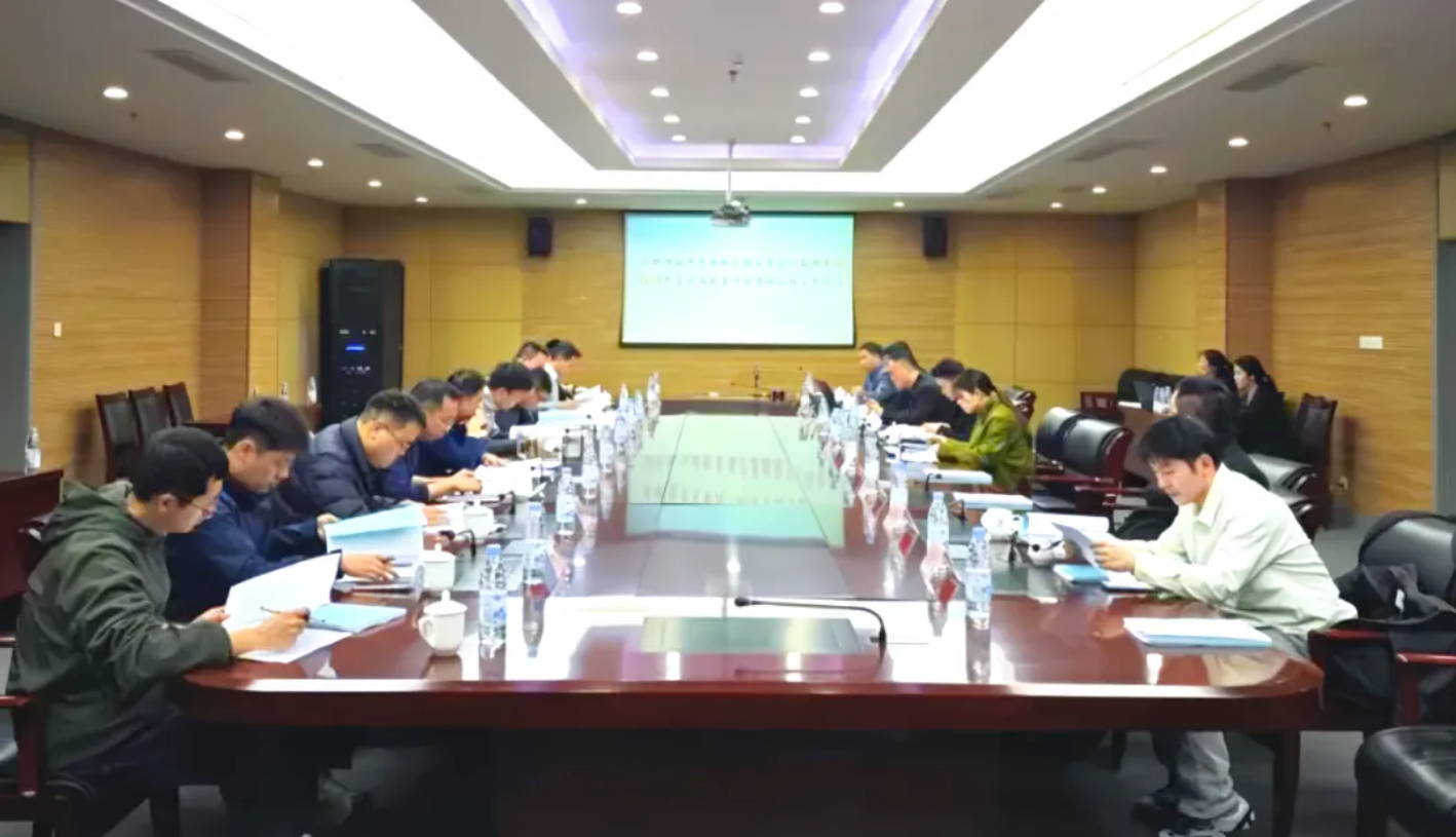 岳阳市城市性命线工程安全运行监测系统2025年度运维服务项目顺利通过查核验收